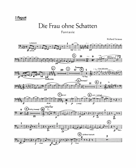 Bassoon 3