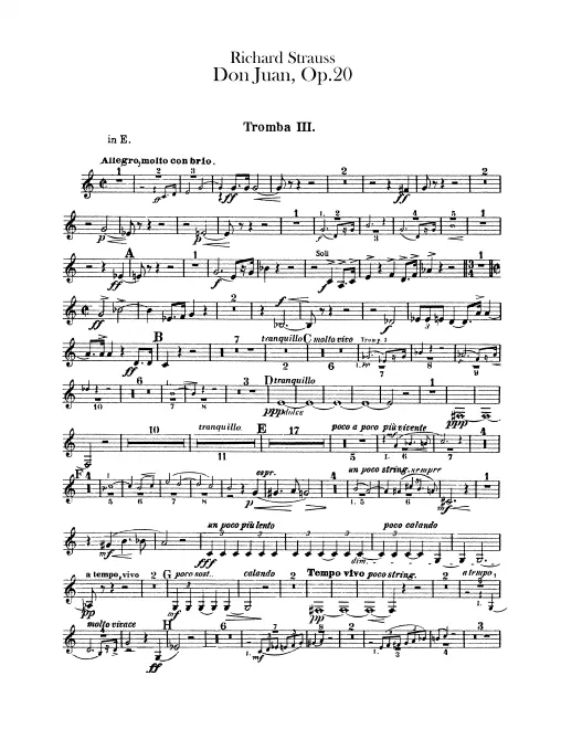 Trumpet 3 (E/C)