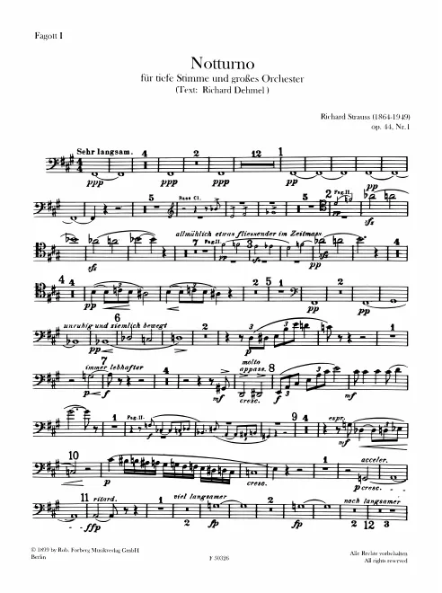 Bassoon 1