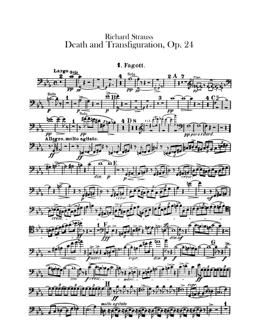Bassoon 1