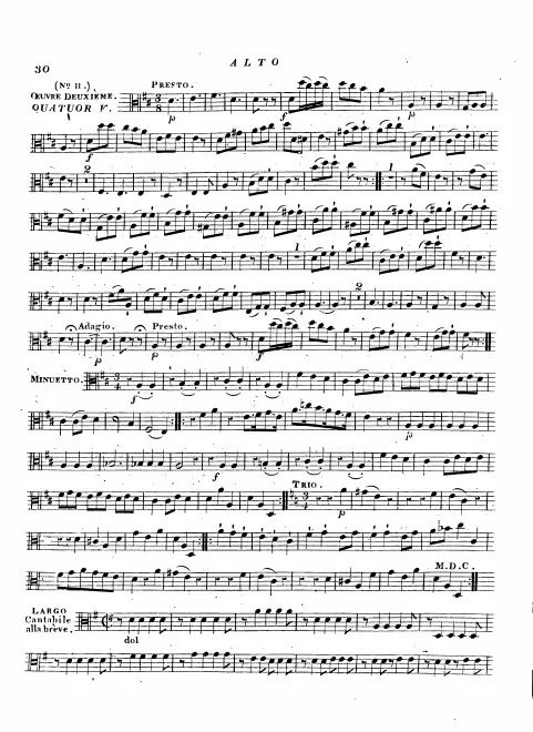 Viola