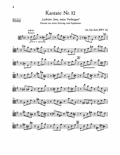 Violas