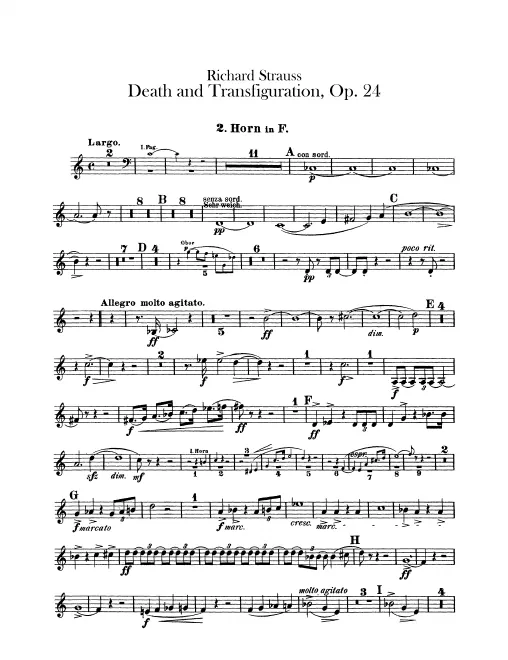 Horn 2 (F)