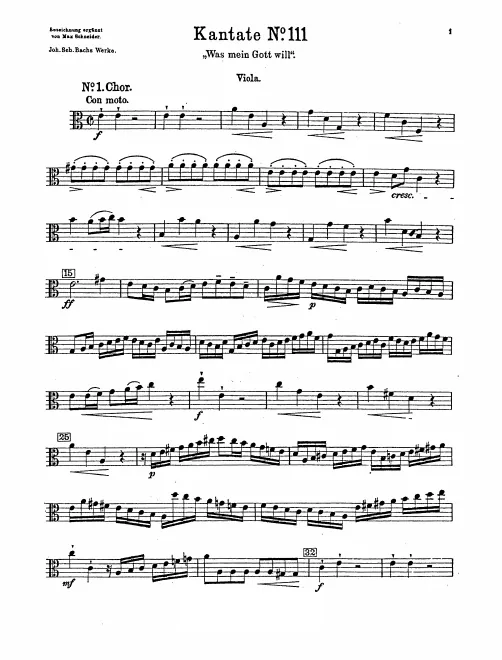 Violas