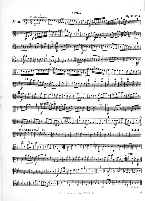 Viola
