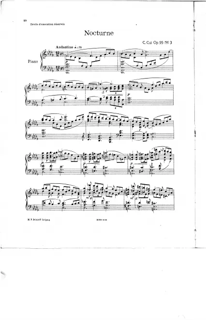 3. Nocturne
