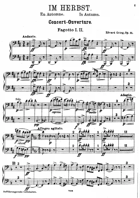 Bassoon 1/2