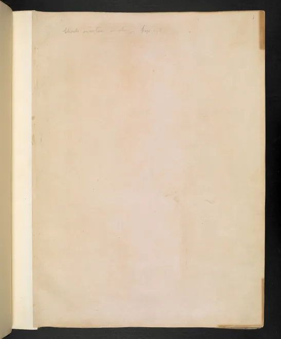 Manuscript