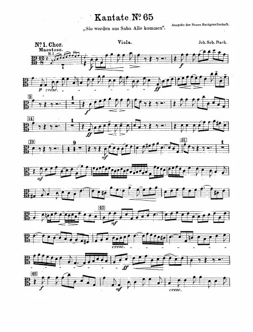 Violas