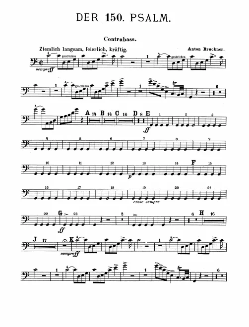 Basses