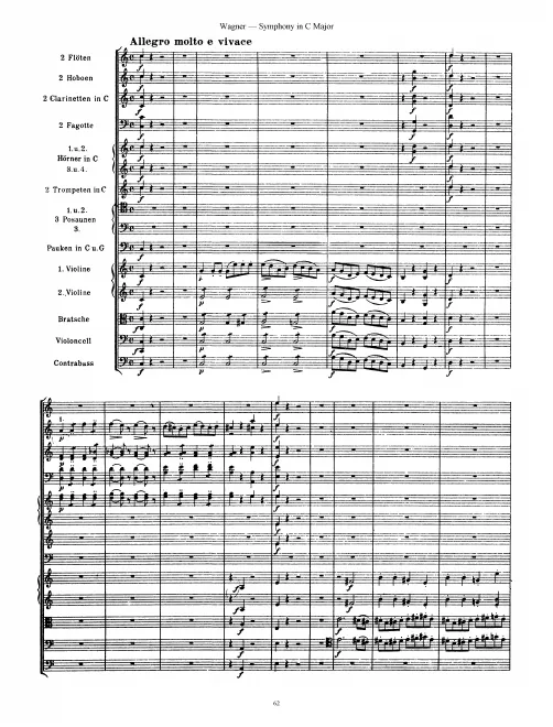 IV. Allegro Molto e Vivace