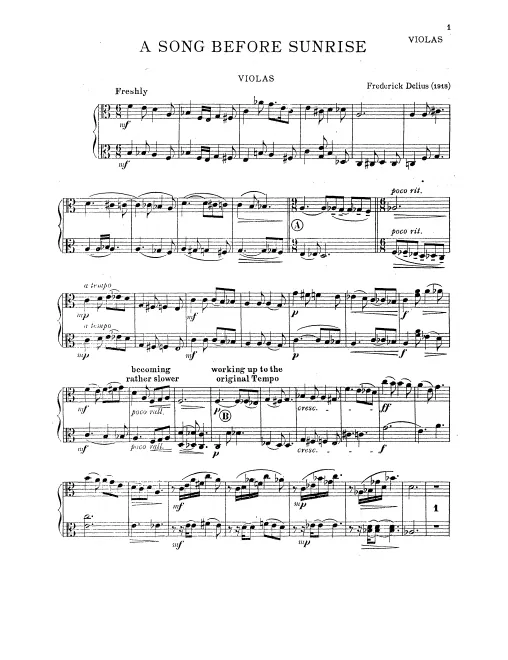 Violas