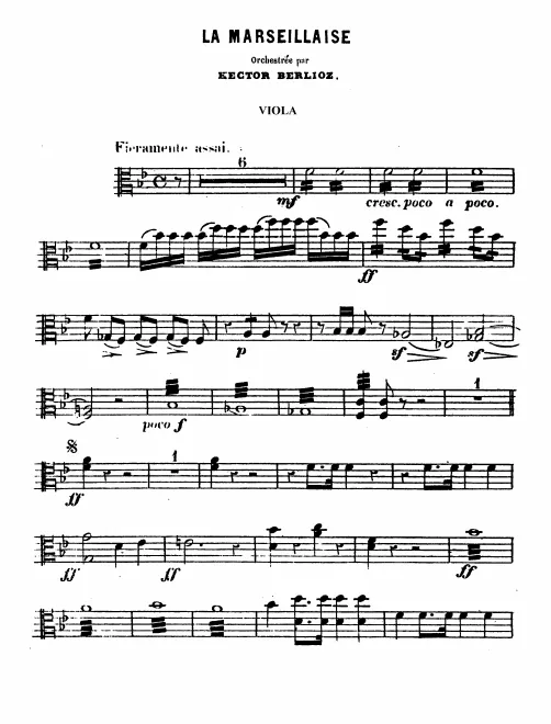 Violas