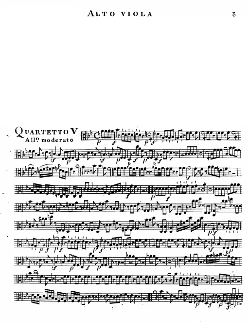 Viola