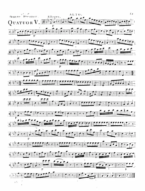 Viola
