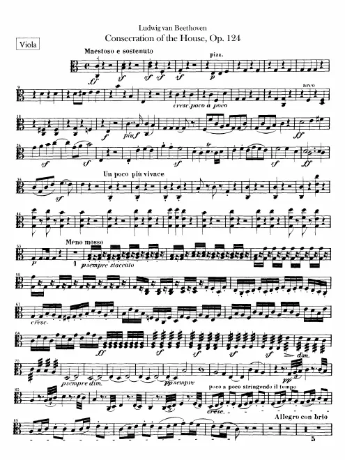 Violas