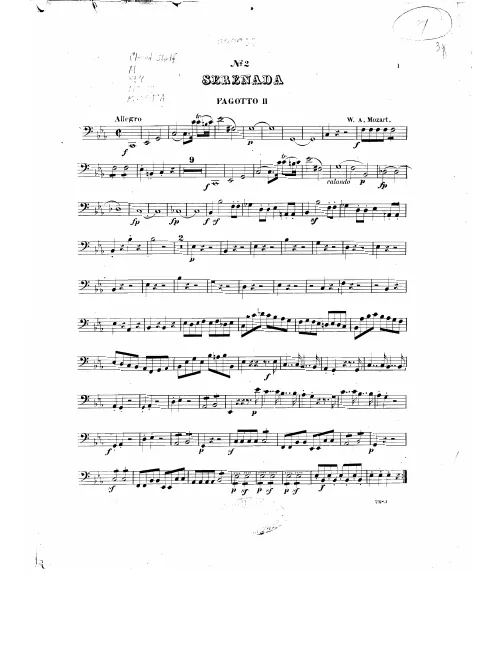 Bassoon 2