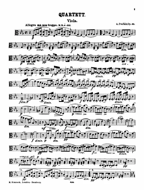 Viola