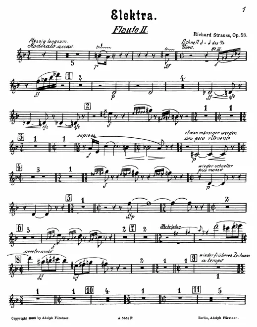 Flute 2