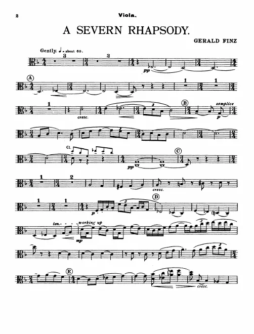 Violas