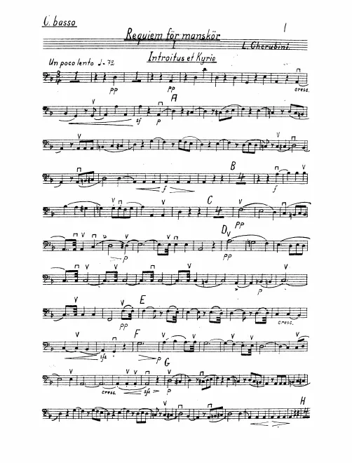 Basses
