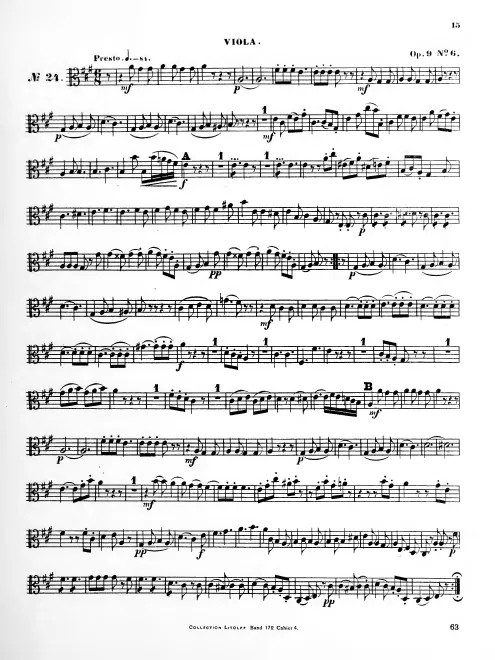 Viola