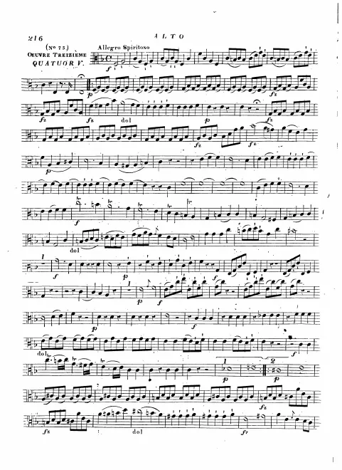 Viola