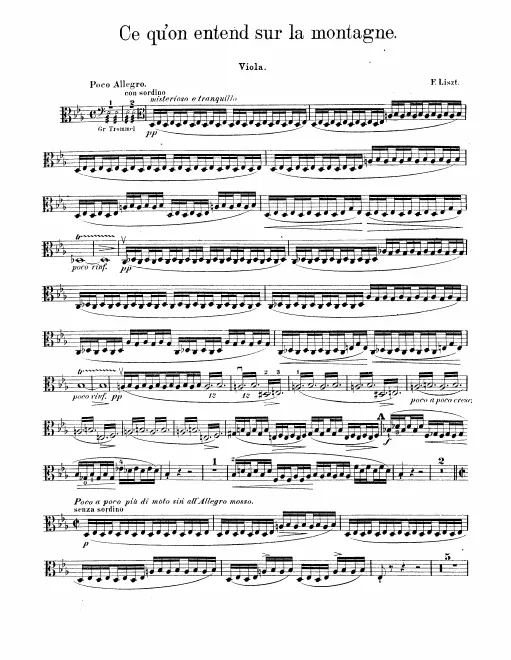 Violas