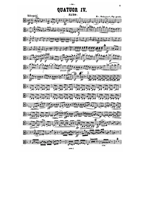 Viola