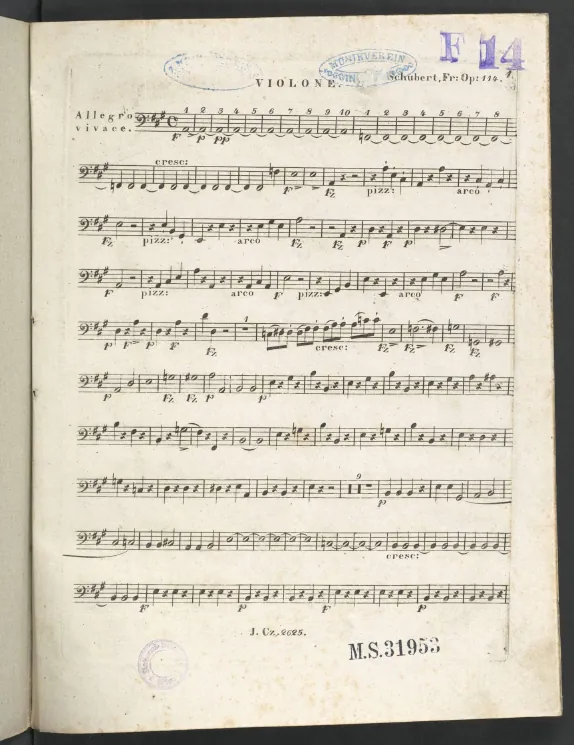 Double Bass