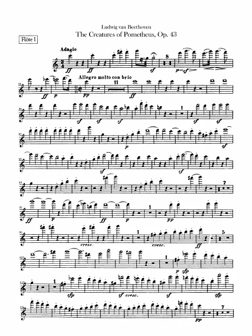 Flute 1, 2