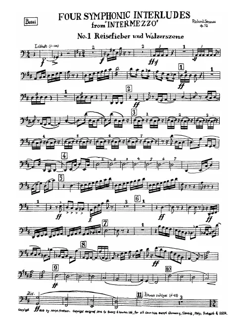 Basses