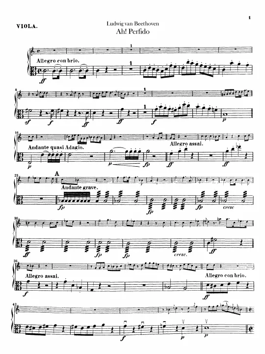 Violas