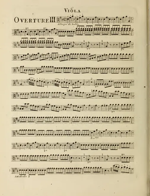 Violas