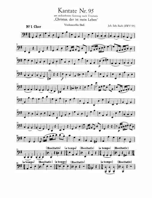 Cellos/Basses
