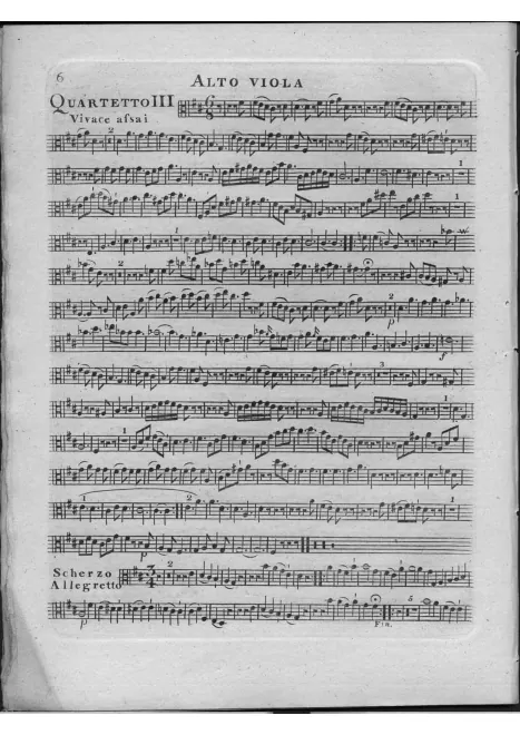 Viola