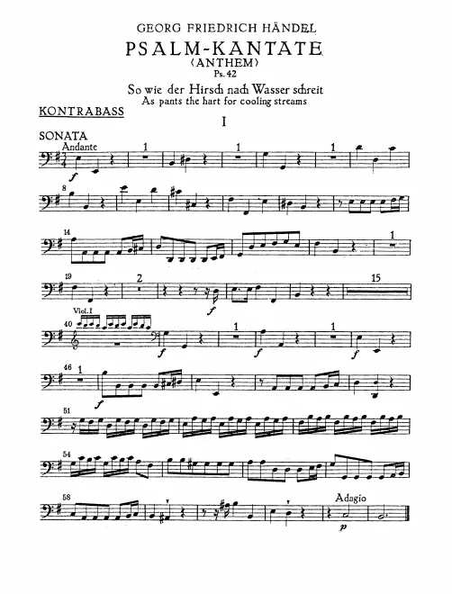Basses