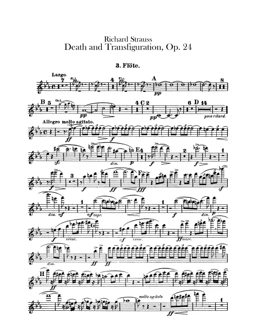 Flute 3