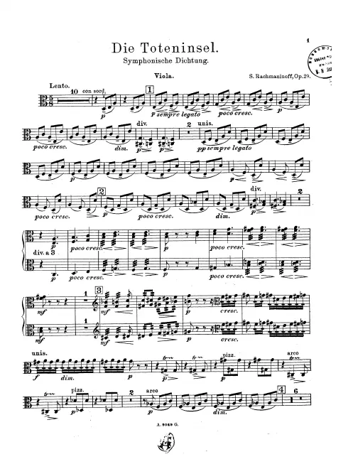 Violas