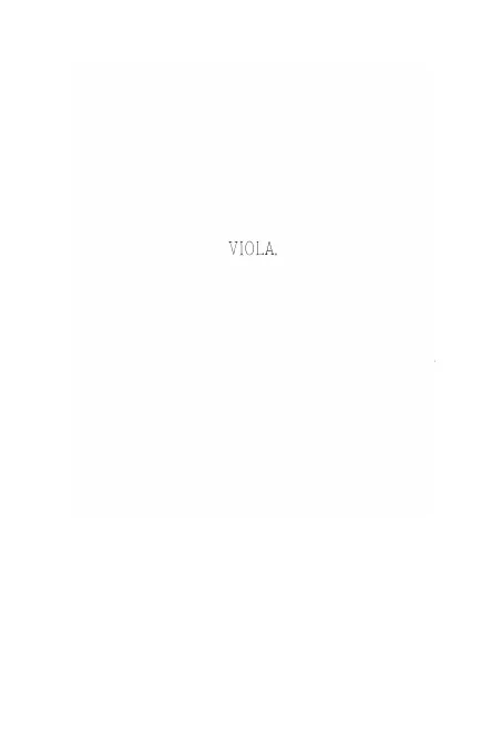 Viola
