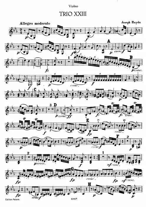 Violin