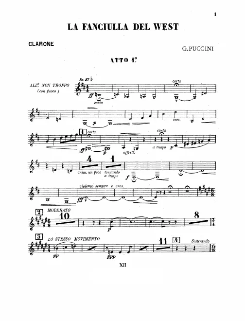 Bass Clarinet