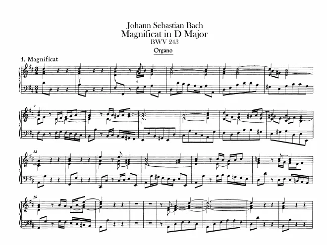 Organ (Continuo)