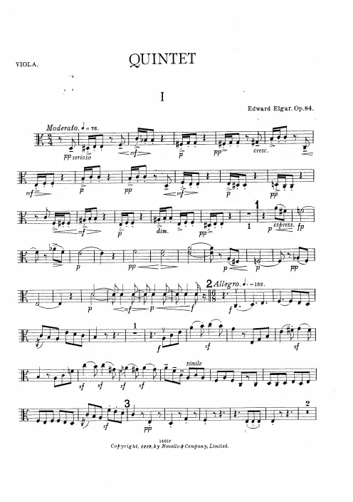 Viola