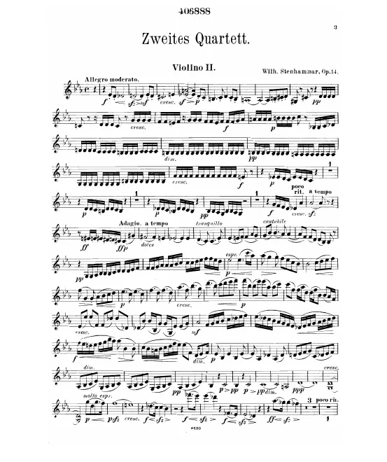 Violin 2
