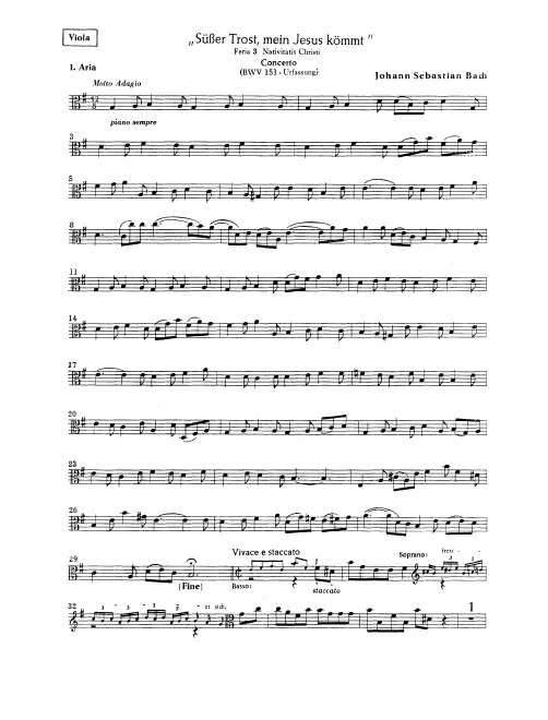 Violas
