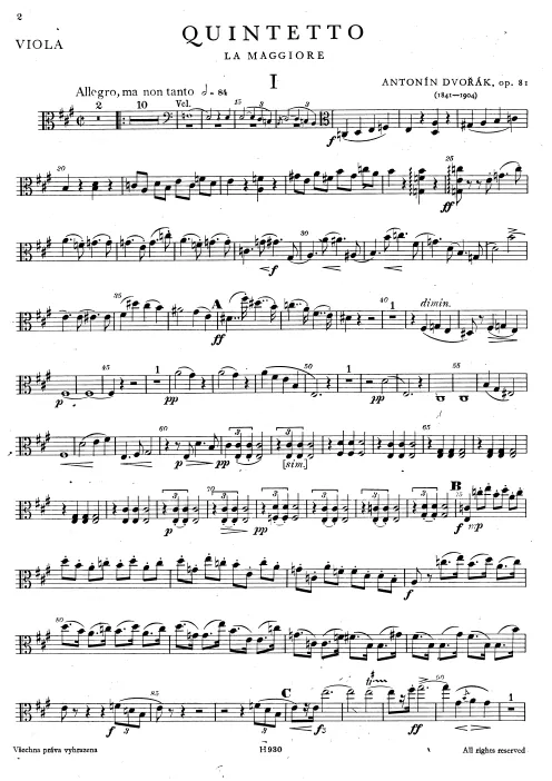 Viola