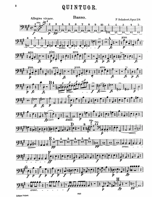 Double Bass