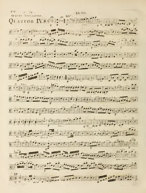 Viola