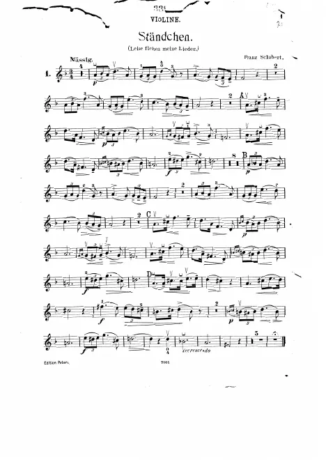 Violin